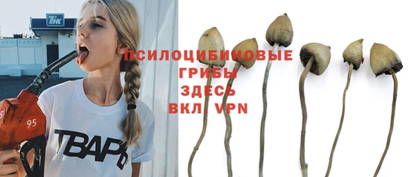 бутират Белокуриха